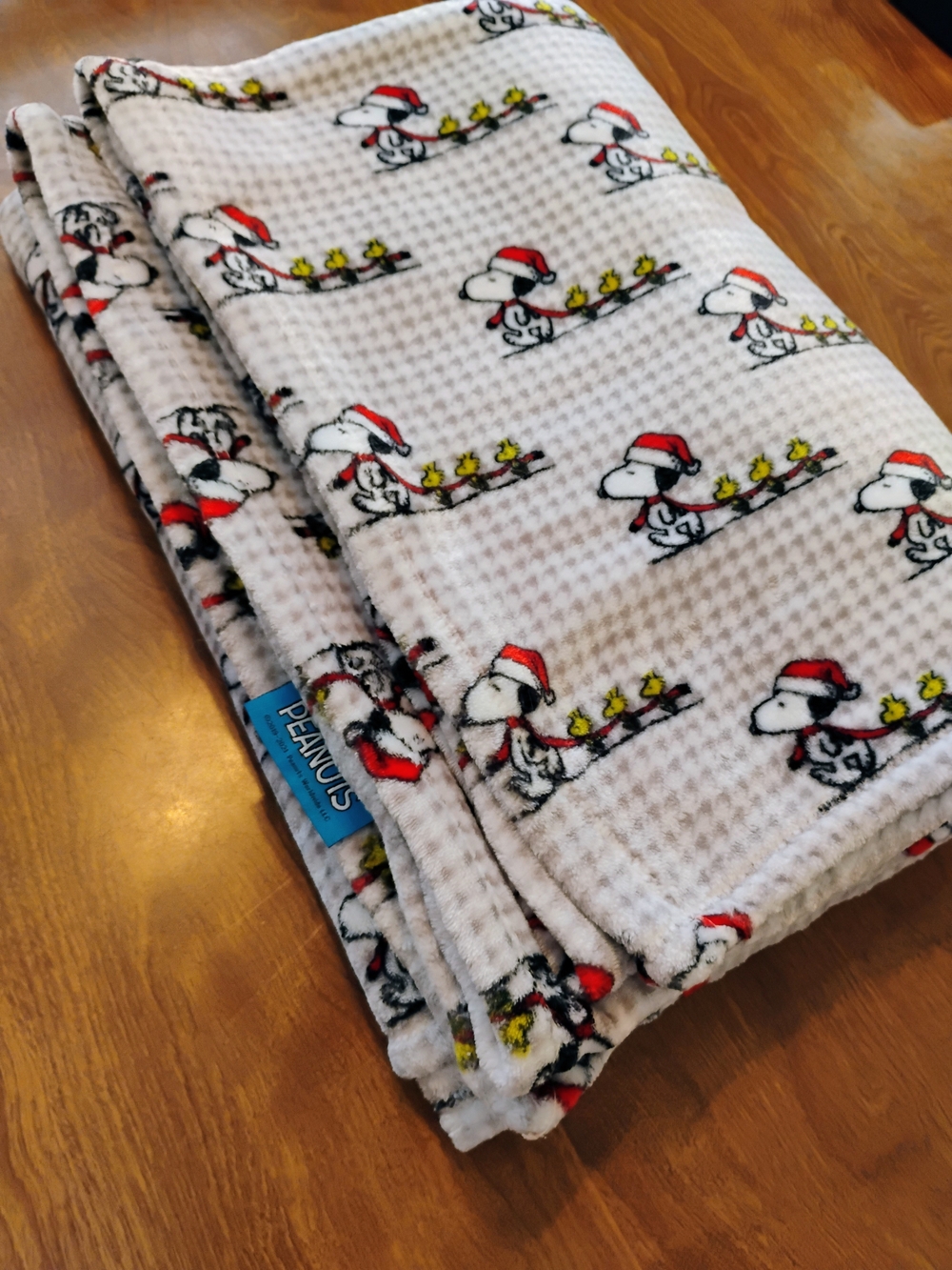 Peanuts Berkshire Snoopy Christmas Velvet Soft Touch Twin Blanket 60x90 In